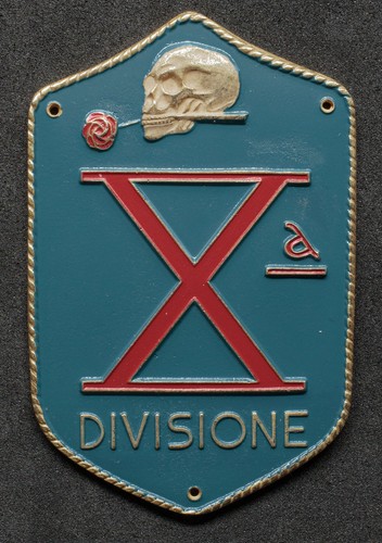 Placca braccio xª - placca,