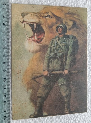 Cartolina propaganda di - cartolina,