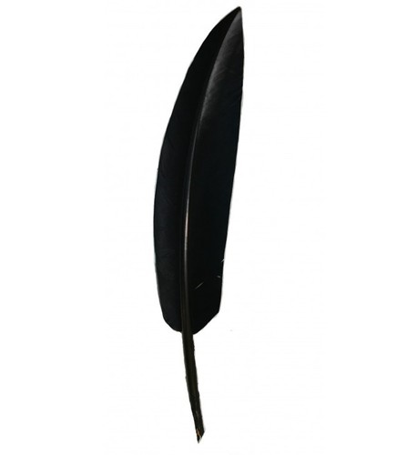 Penna nera naturale prima - naturale, di